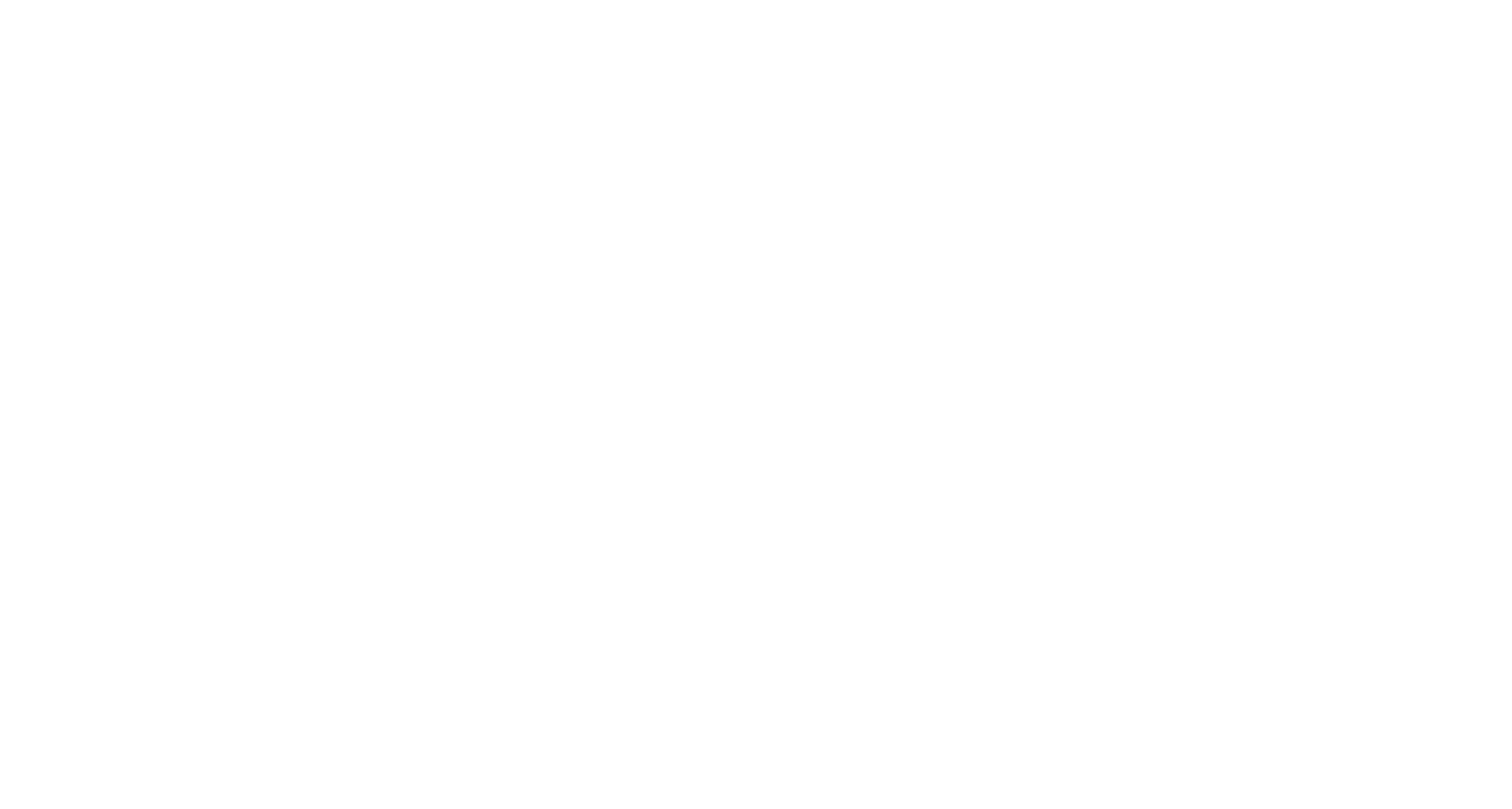 HEIZR RACING DEPT.